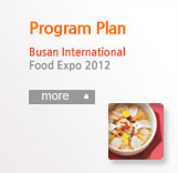 Program Plan