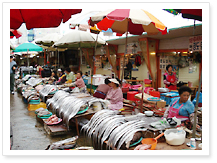 Jagalchi Market (Fish Market)