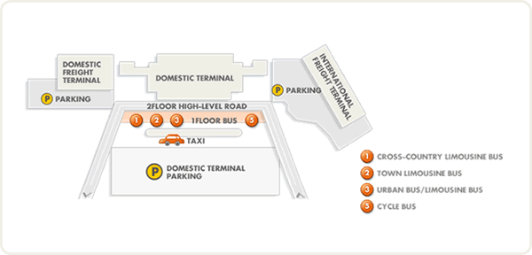 By Airport Limousine bus