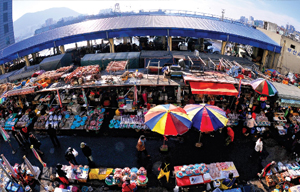 Jagalchi Market (Fish Market)